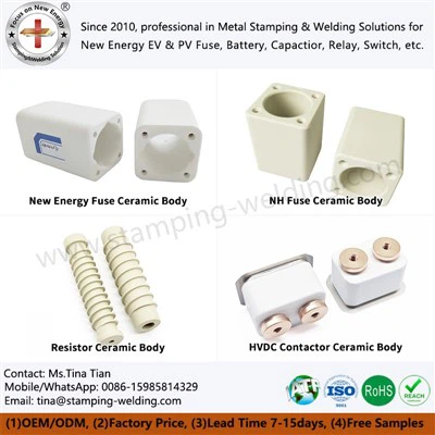 Κεραμικό σώμα